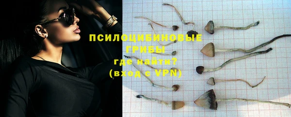 молекула духа Елабуга