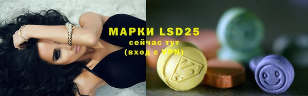 молекула духа Елабуга