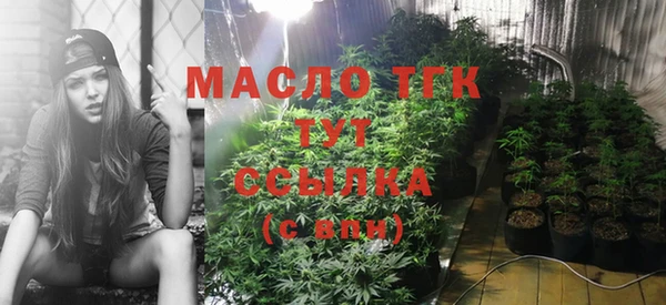 шишки Дмитровск