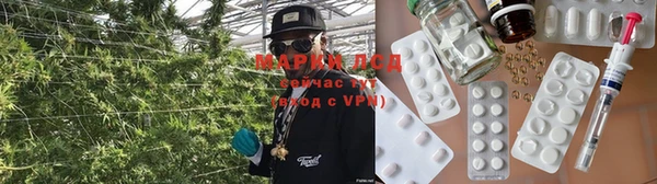 молекула духа Елабуга