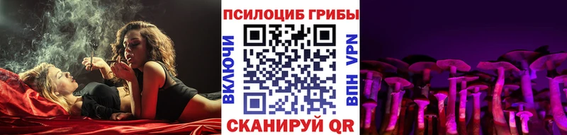 omg как войти  Кашин  Галлюциногенные грибы Psilocybine cubensis 